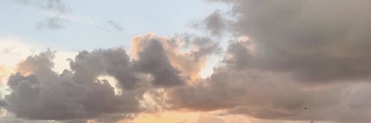 Cloe_223's profile banner image