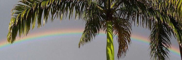 Bryanjose2's profile banner image