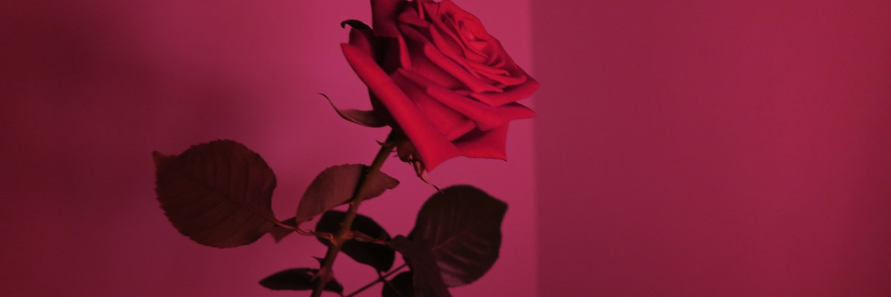 RemyNableJ_'s profile banner image
