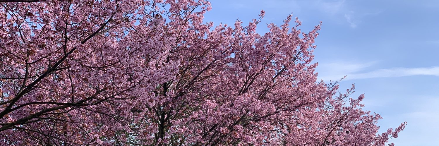 tweetdunk's profile banner image