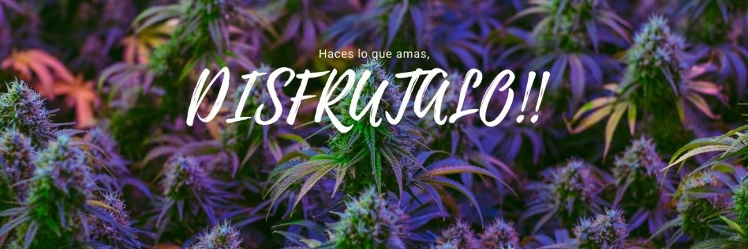 luisfercalpha's profile banner image