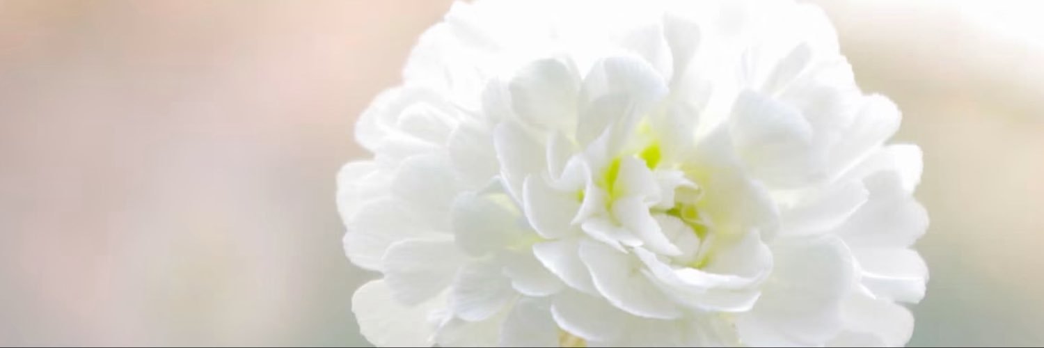 eclipso_design's profile banner image