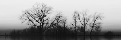 SensibleGianna's profile banner image