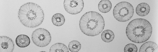 corynnkasap Profile Banner