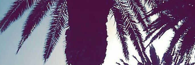 ss11m_'s profile banner image