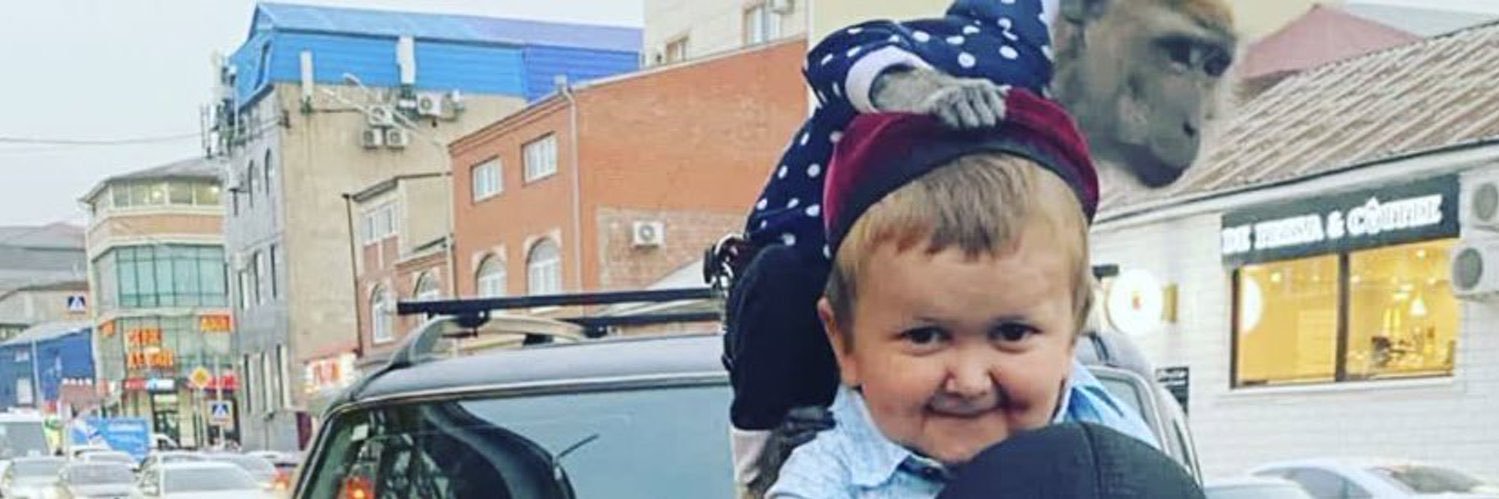 Macauley banner