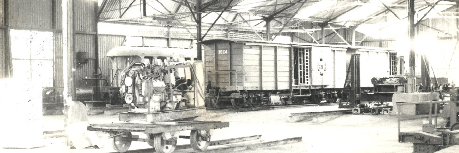 Rieles de Venezuela banner