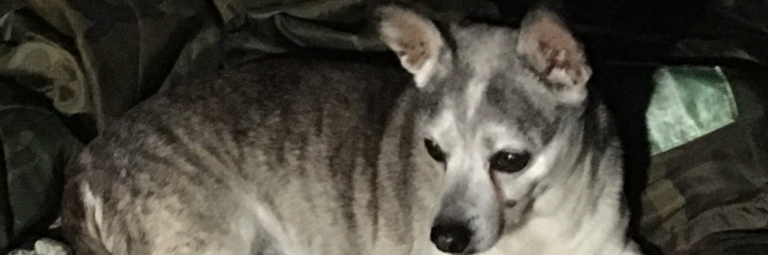 rodneyspiers's profile banner image
