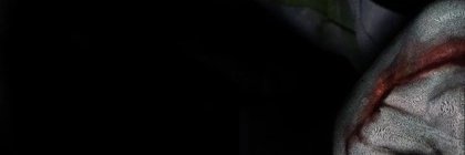 LocoRonin46's profile banner image