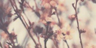 MilaRPGJBC's profile banner image