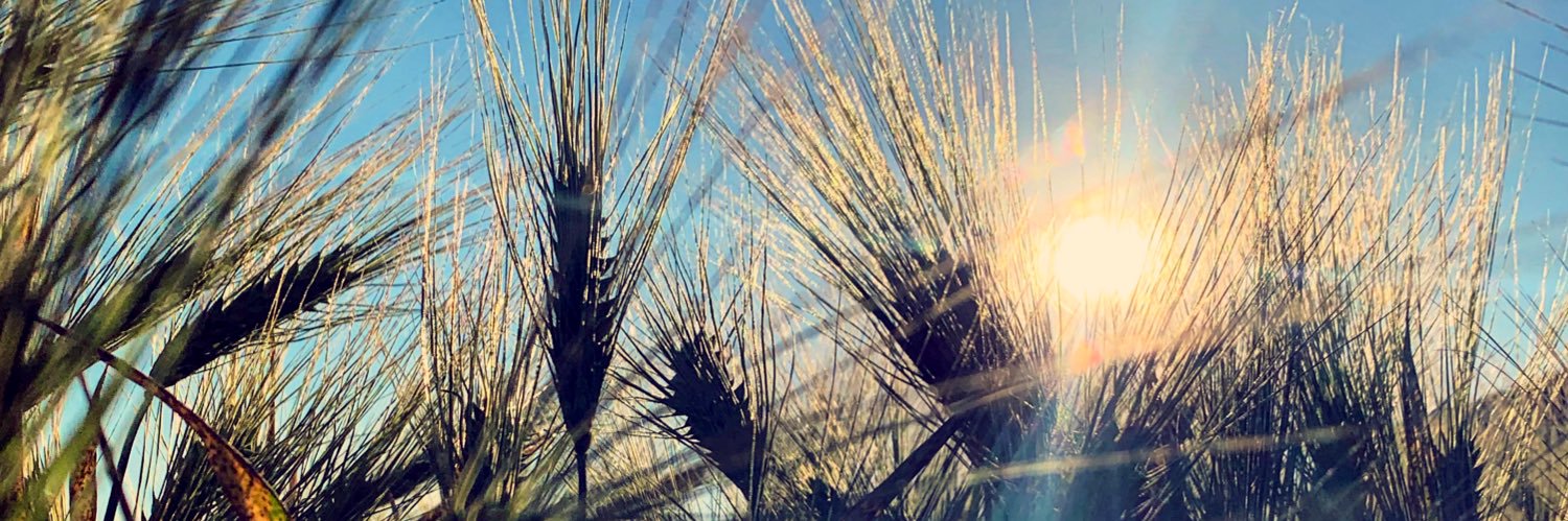 _Justinee_H's profile banner image