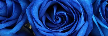 92% banner