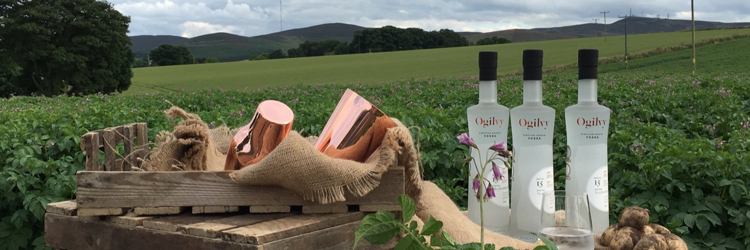 Ogilvy Vodka banner