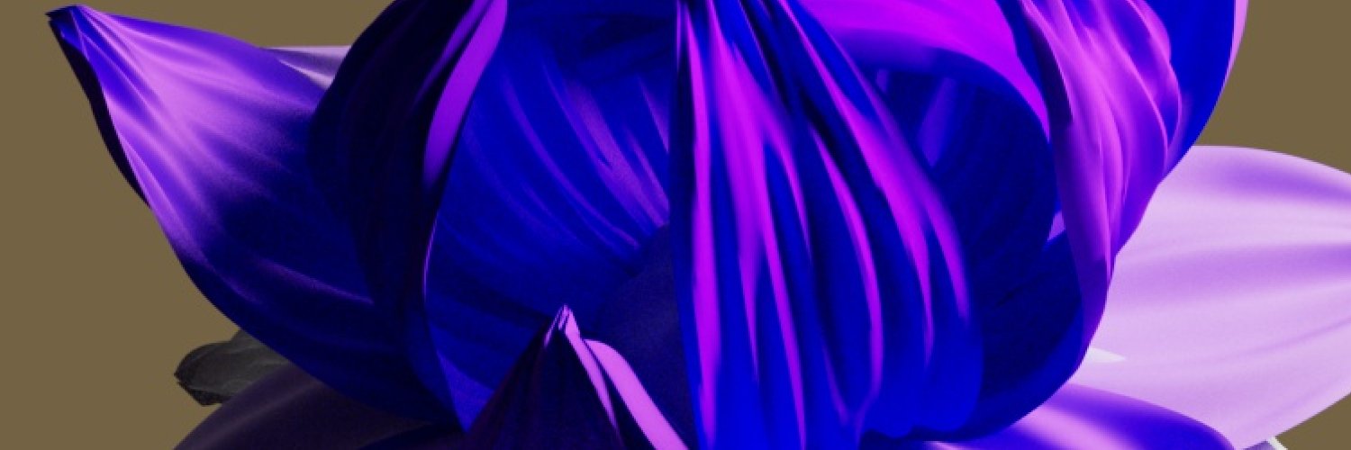 Kristen Stone banner