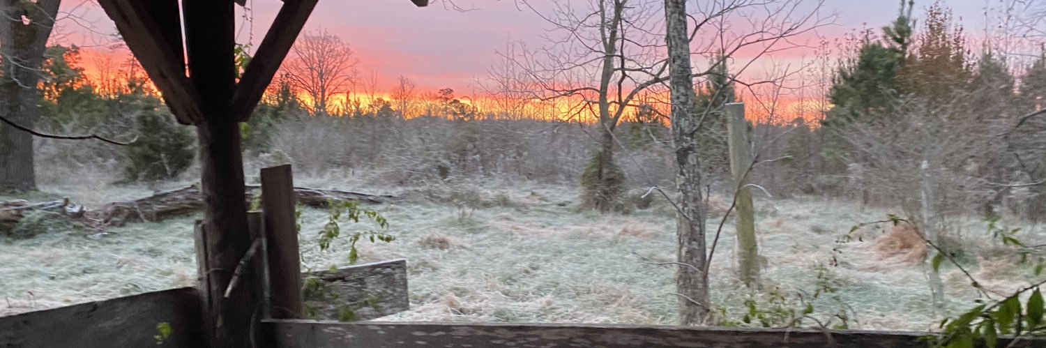 Seth Williams banner