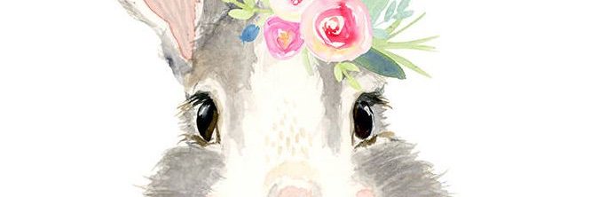 LauraOlivella's profile banner image
