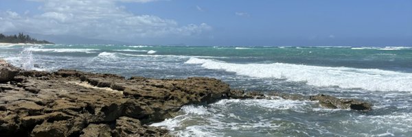 Jessicateresaa Profile Banner