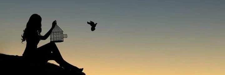 MenjamSve's profile banner image