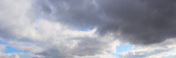 BredaMayock Profile Banner
