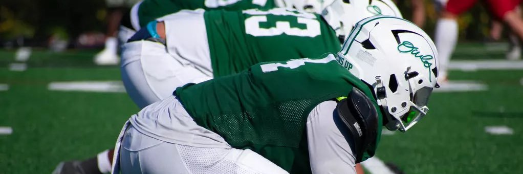 Chris Silva's banner