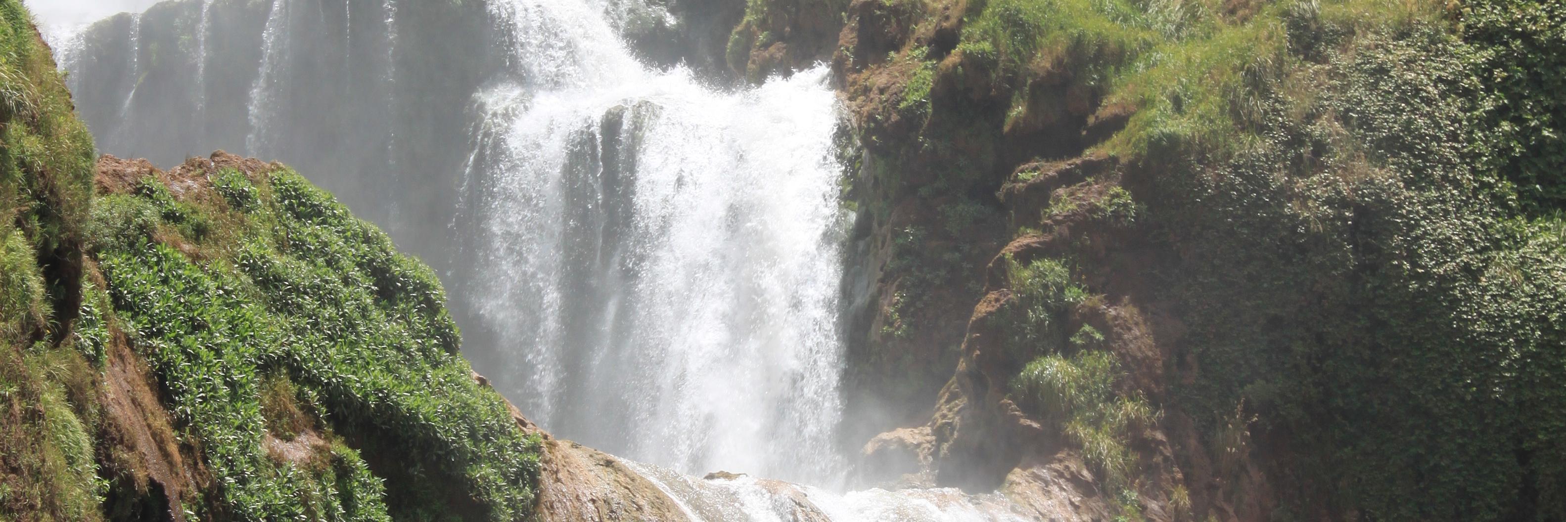 Estibaliz Linares banner