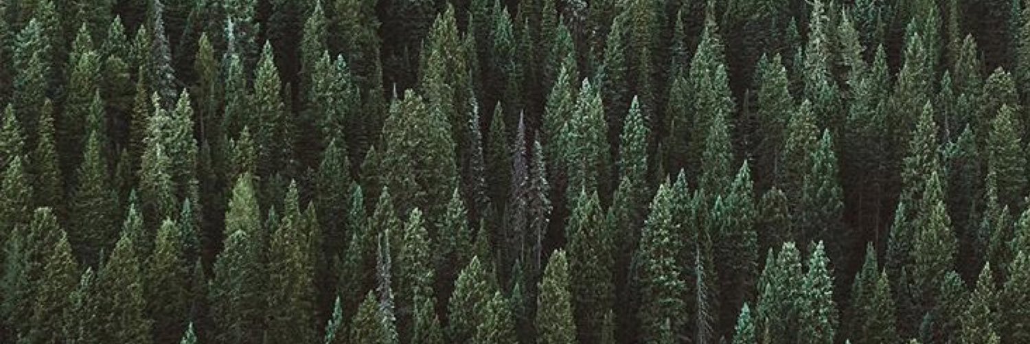 shawhbwn's profile banner image