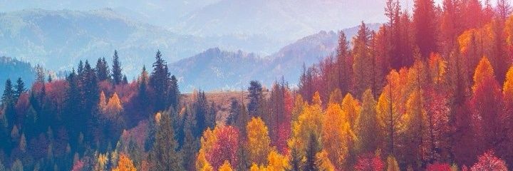 Waulpl's profile banner image