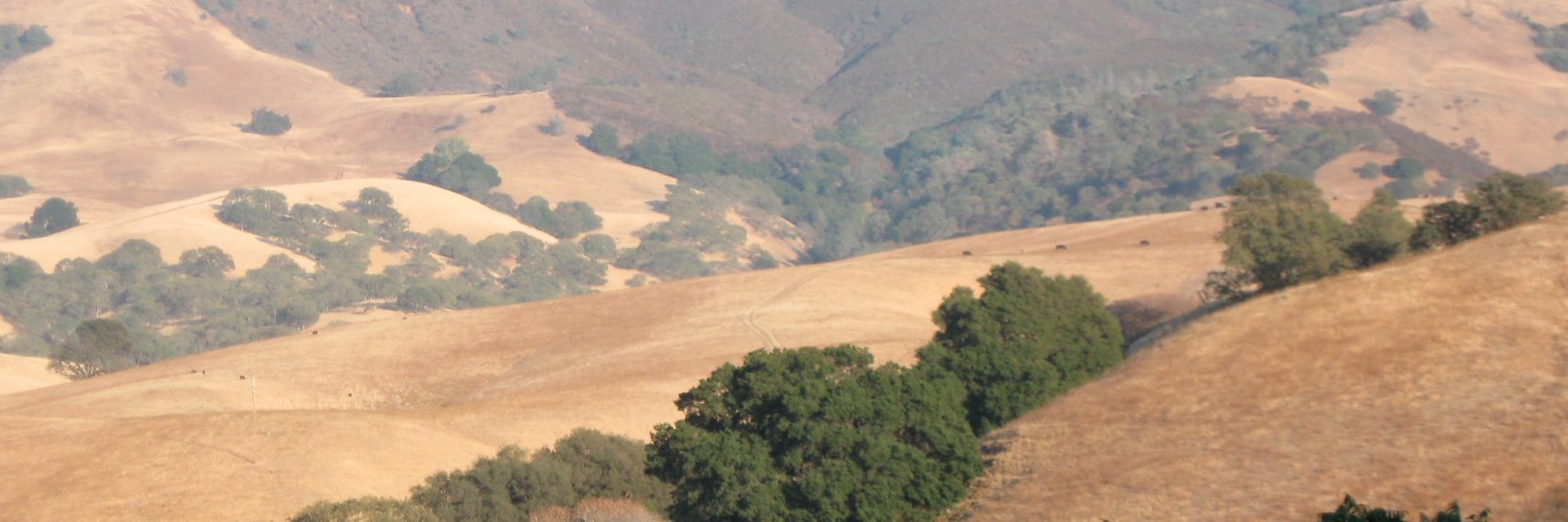 Mayswriter's profile banner image