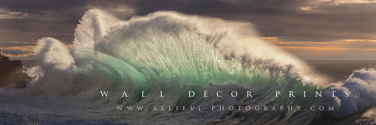 AllieviPhoto's profile banner image