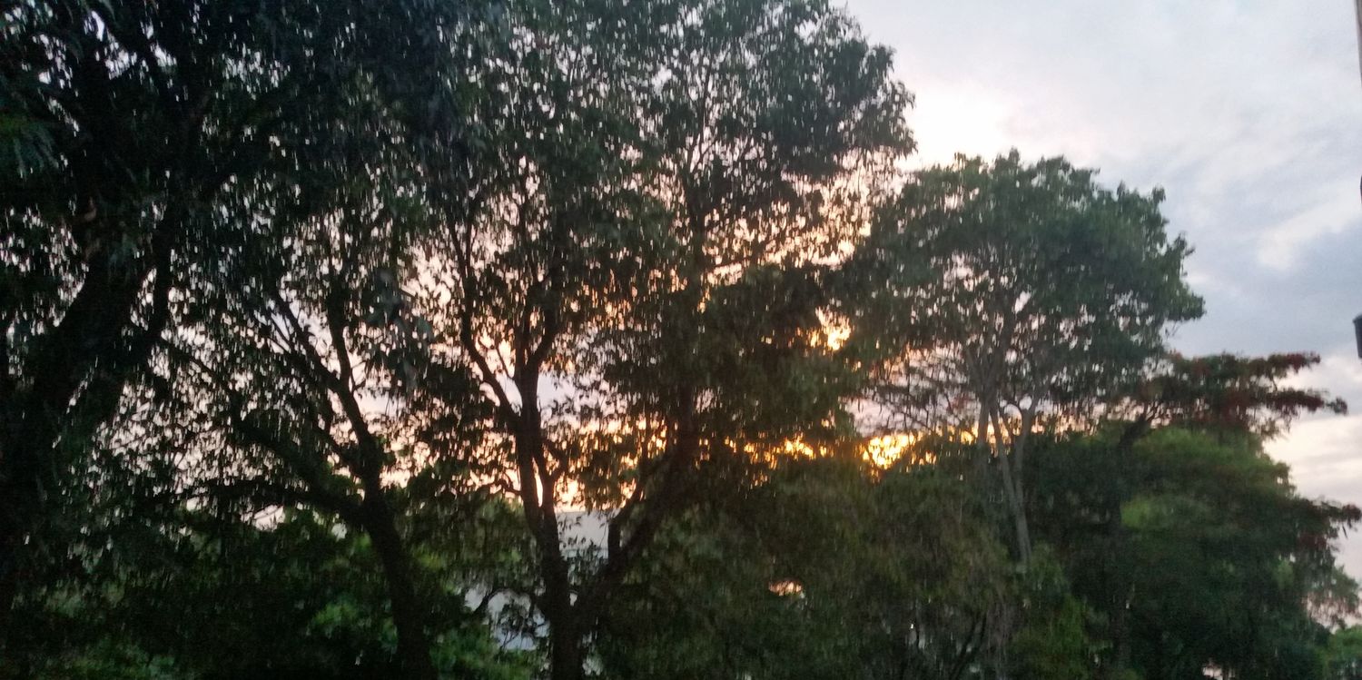 Nicinha Porto banner