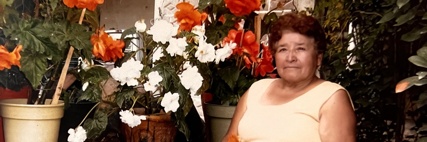 godinezlarissa's profile banner image
