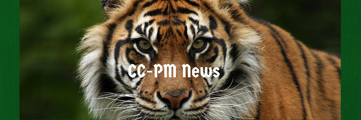 CCPMNews's profile banner image