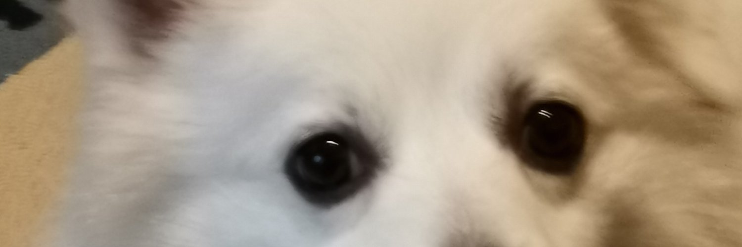 Hungover banner