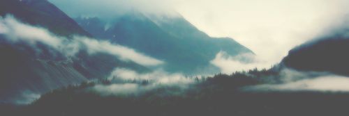 wolfboy1016k's profile banner image