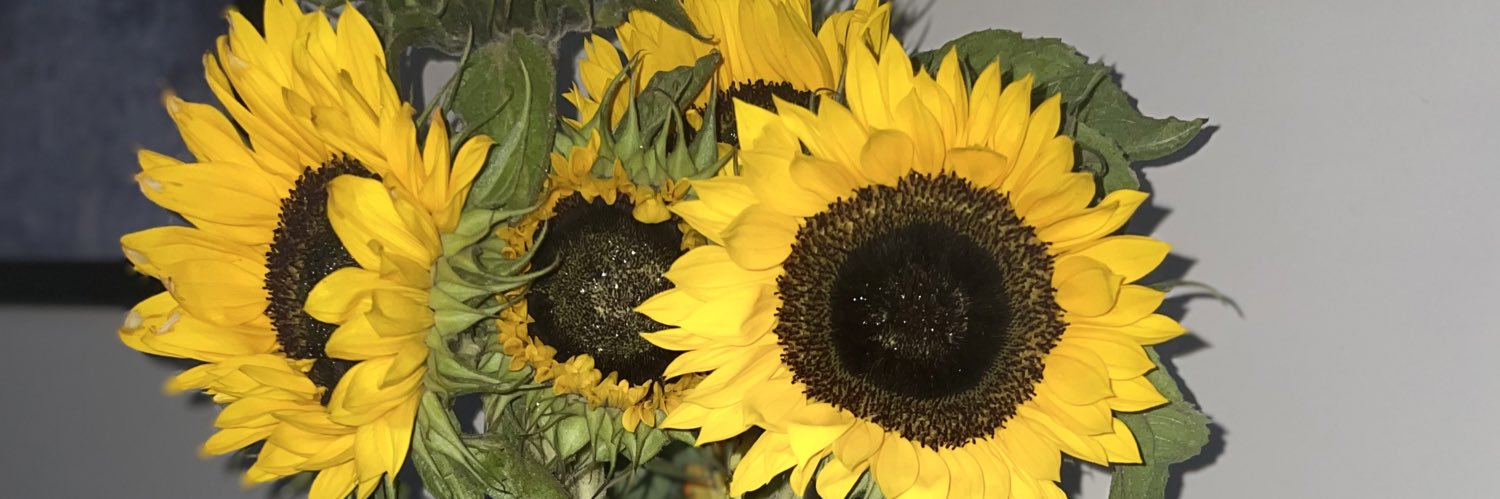 Janice Algar RNLD QN banner