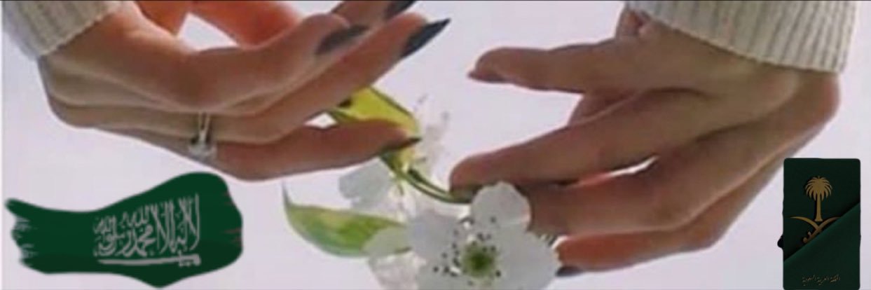 ᗰOᑎᗩ✨🇸🇦 banner