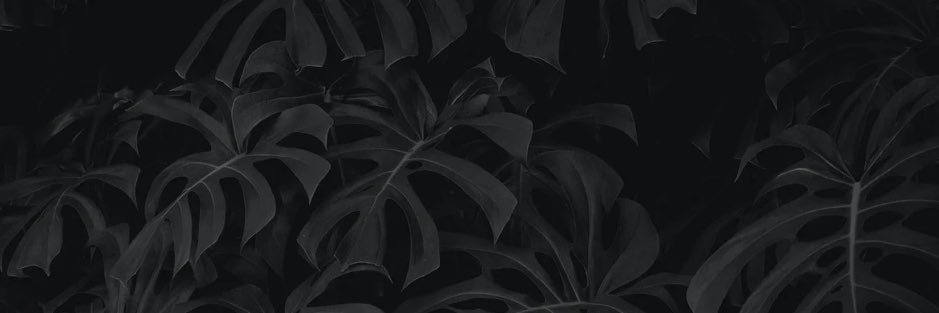 andrelcoste's profile banner image