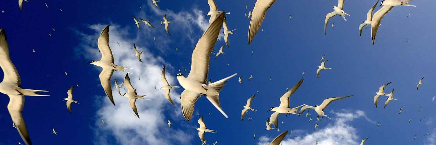 Martin THIBAULT banner