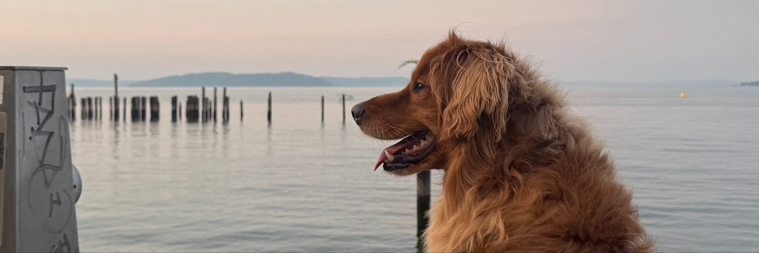 _bradentyler's profile banner image