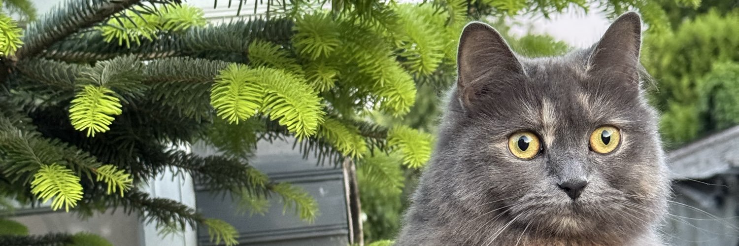 mat3or's profile banner image