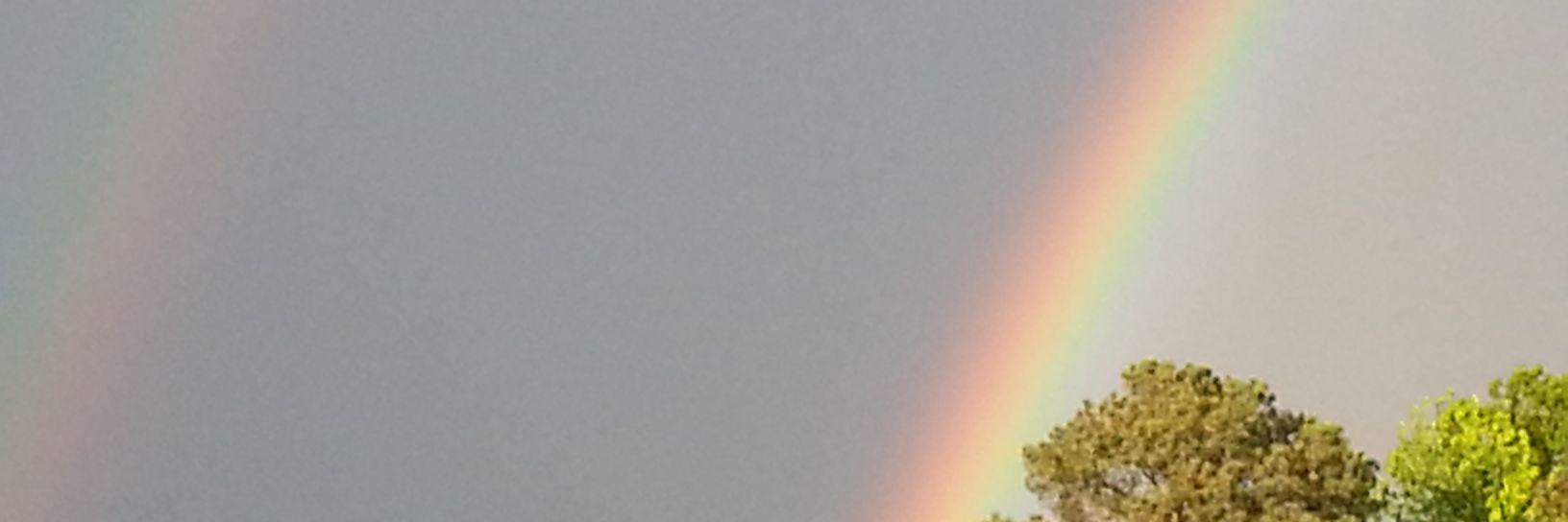 Stephanie Herrera banner