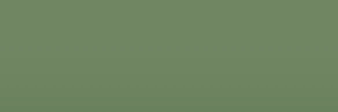 ssarahelm_'s profile banner image