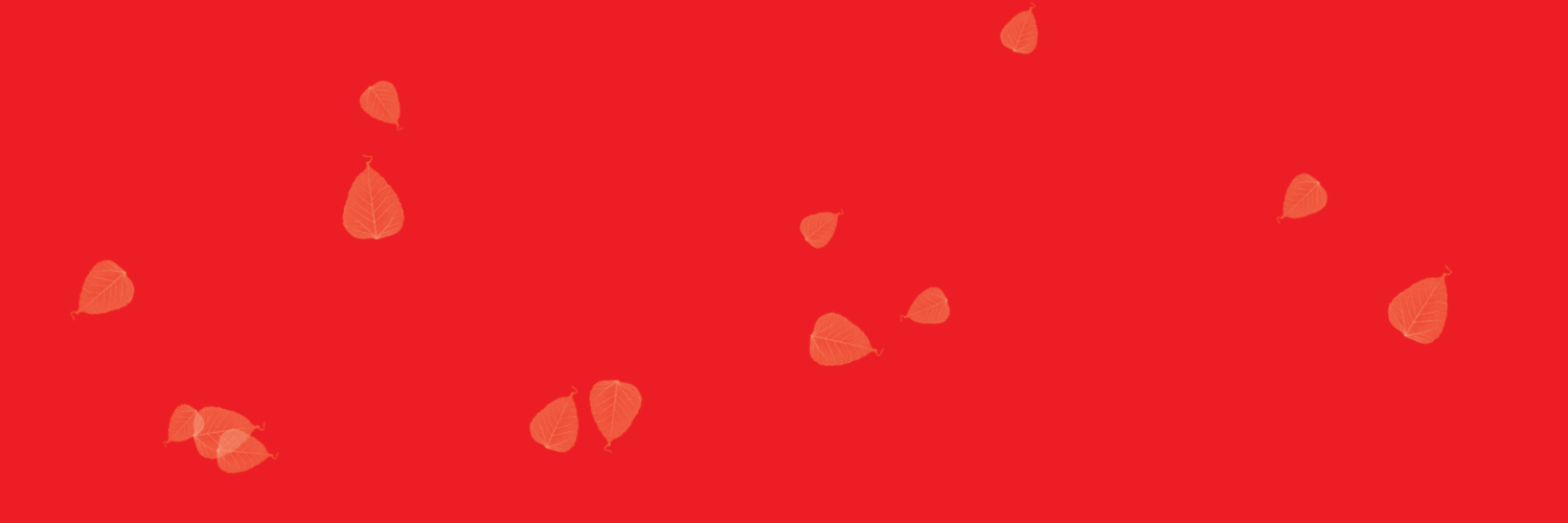 bhattabhimsen1's profile banner image