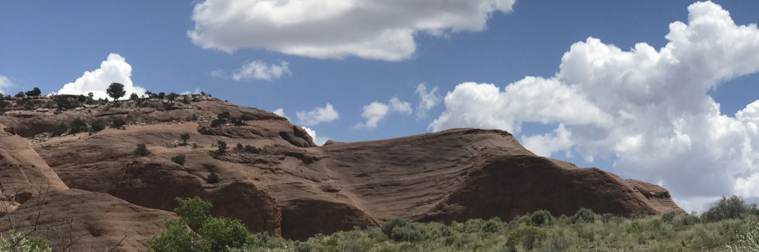 Montina Carver Sharp banner