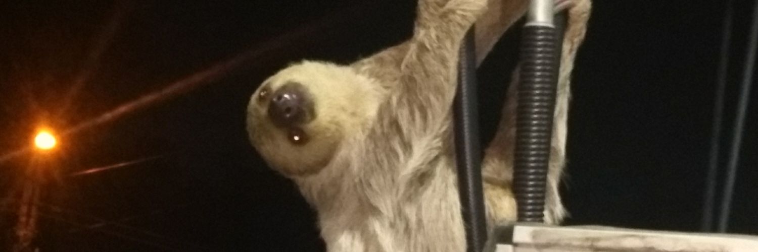 WillAlmeidaS2's profile banner image