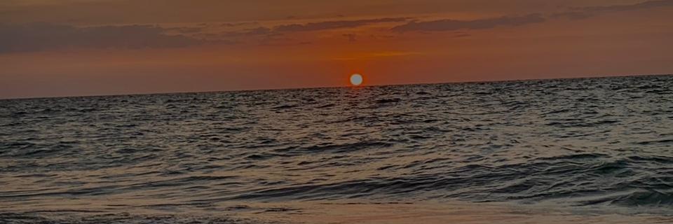 wag__ner_'s profile banner image