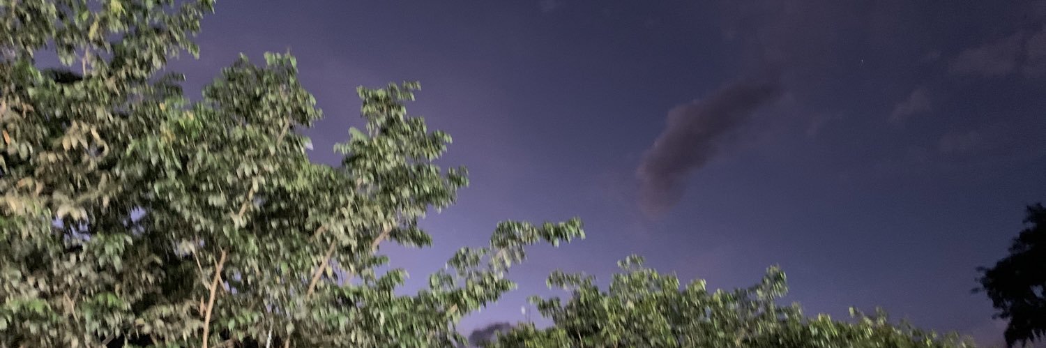 EEJ1999's profile banner image