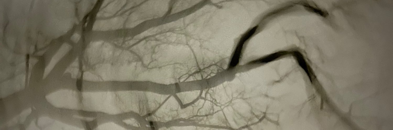 dpatrickirvin's profile banner image