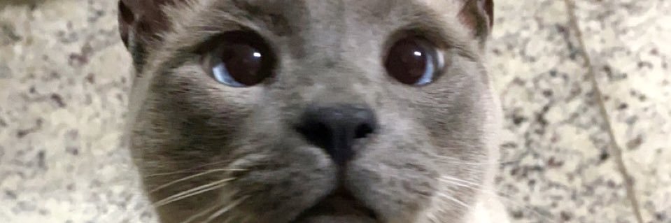 iCeciliaaa's profile banner image