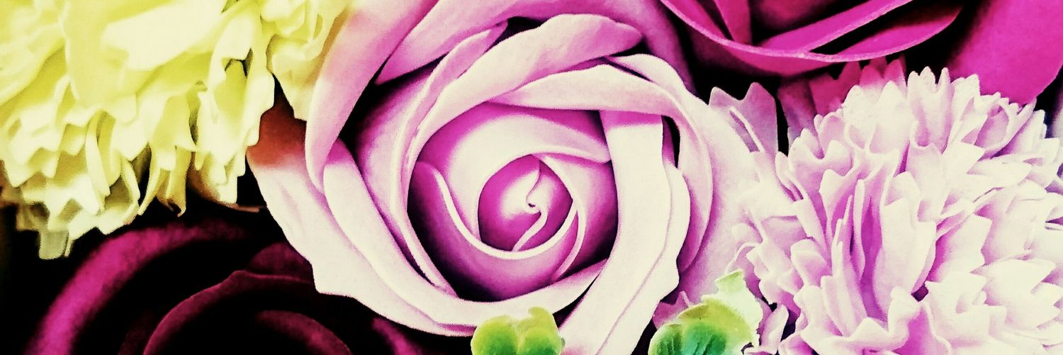 licoriceameda's profile banner image